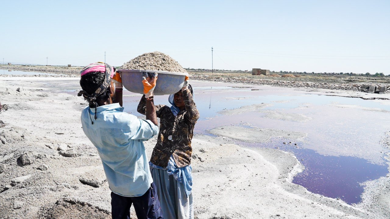 Salt harvesters at work