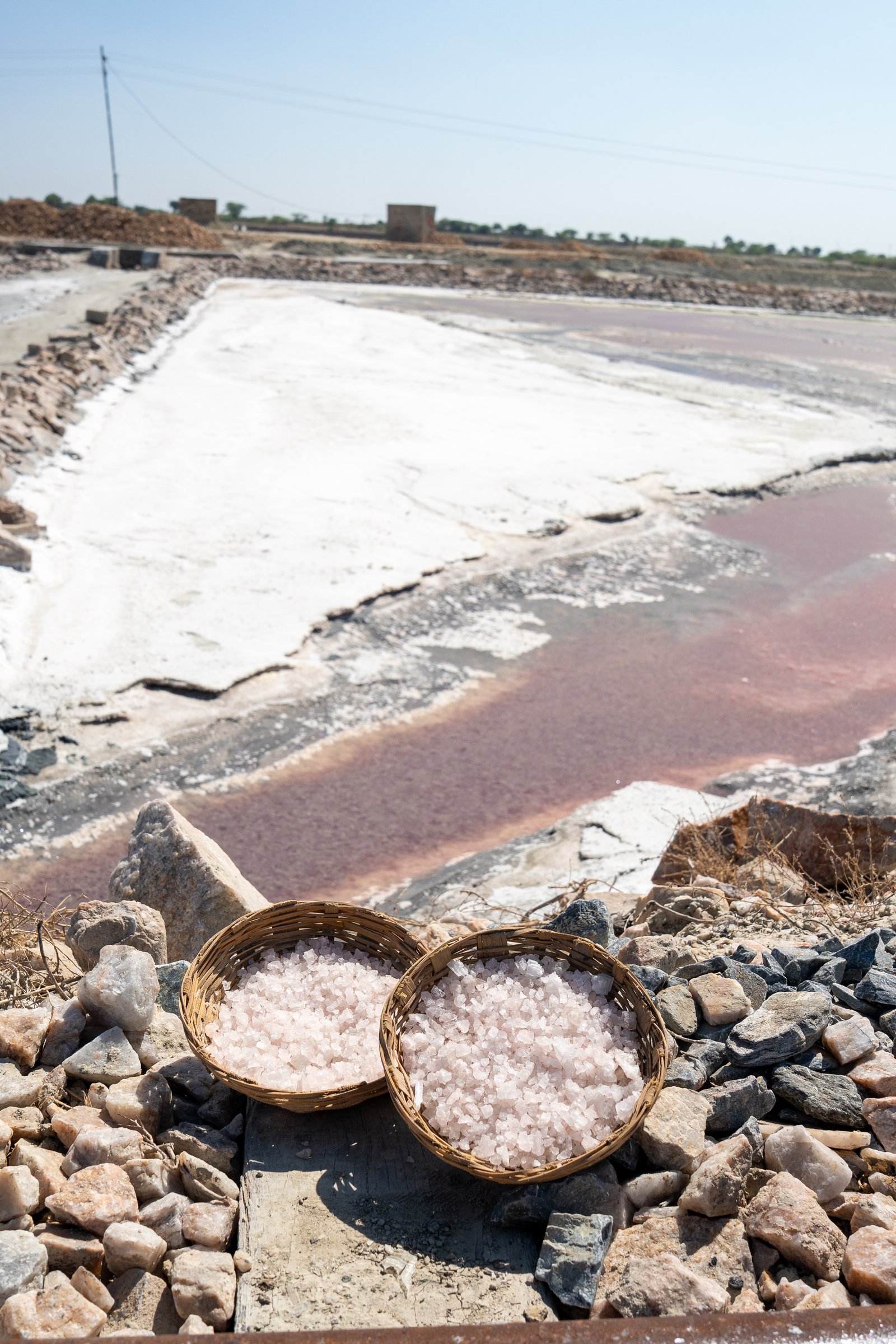 The mineral-rich brine of Sambhar Lake, source of Puresol's natural B-vitamins