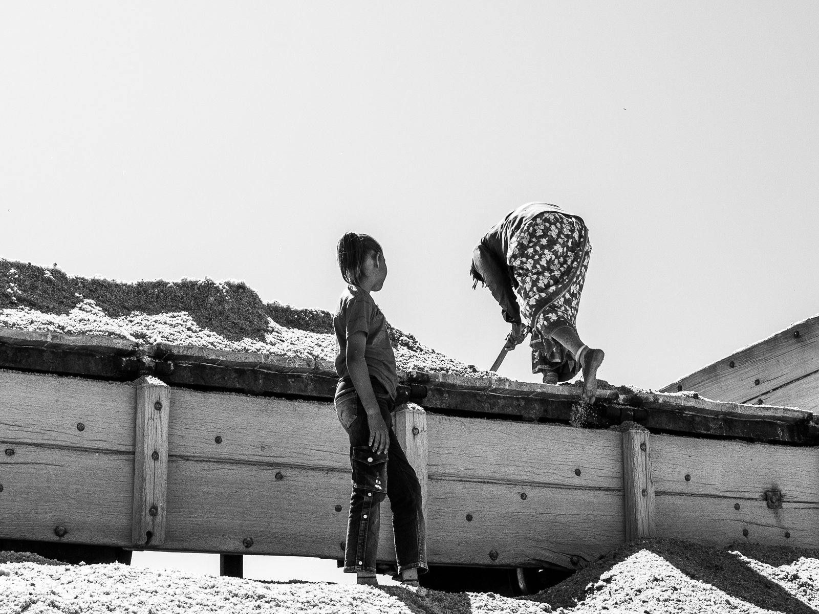 The vast pink salt flats of Sambhar Lake stretching to the horizon