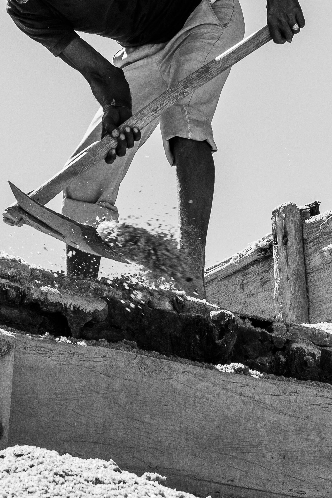 Salt harvesters working beside the pink brine beds of Sambhar Lake