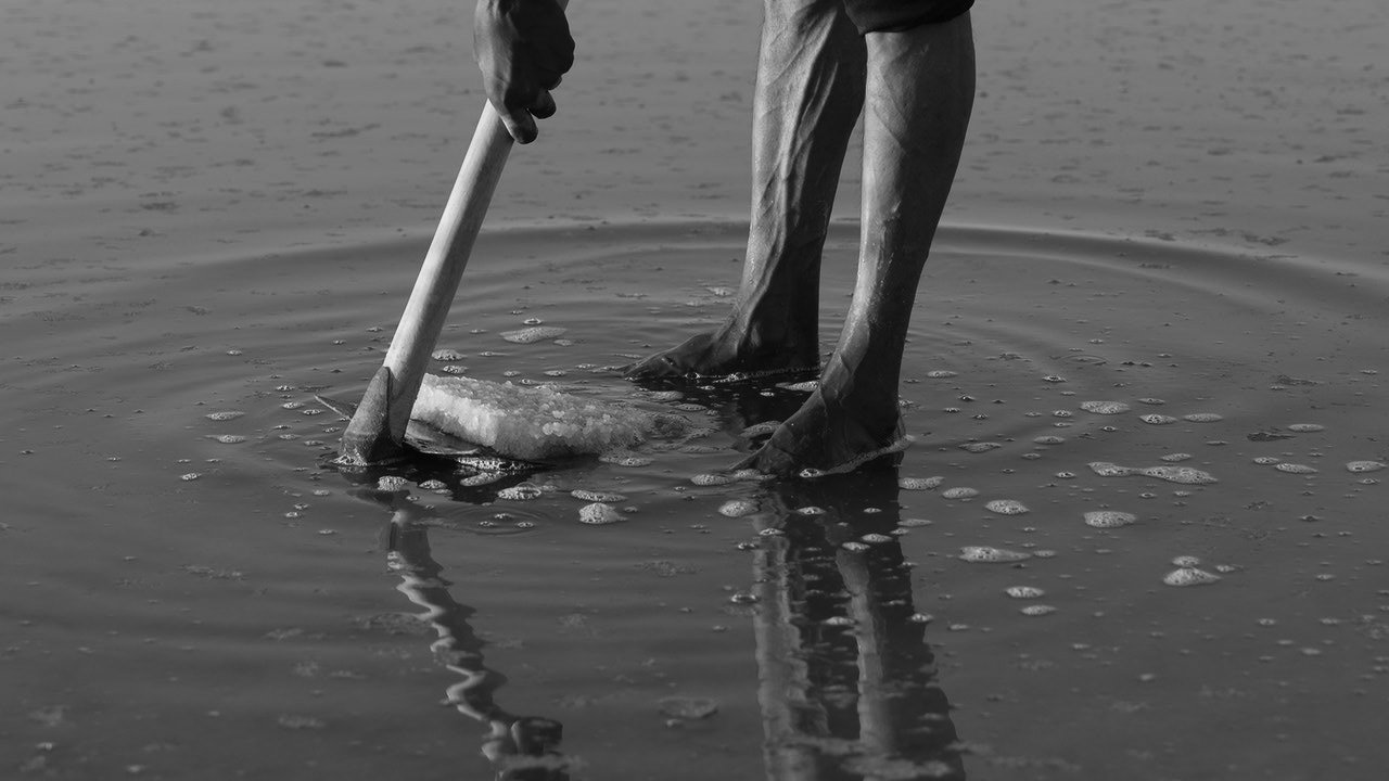 Harvester wading through brine